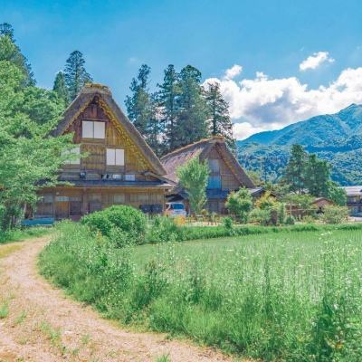 完美电竞手机app下载